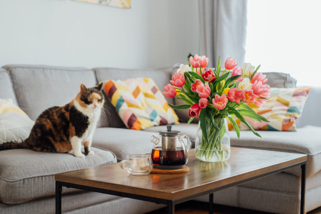 5 Home Cleaning Tips for People with Pets